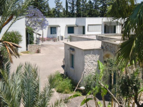 villeriunite